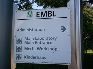 EMBL conference Microfluidics 2012
