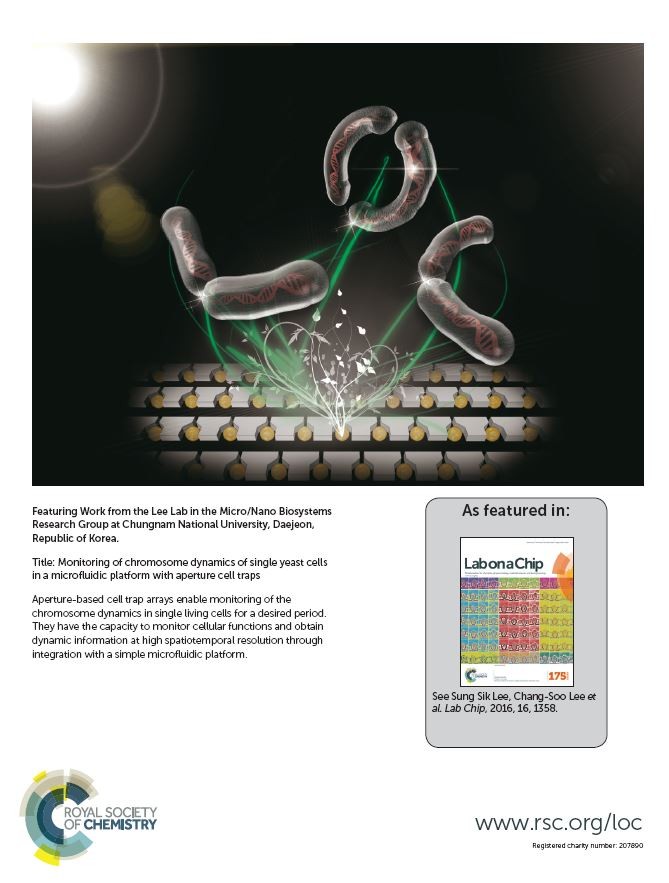 Microfluidic system for synthesis  of functional materials